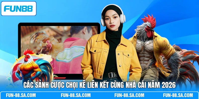 Các sảnh cược chọi kê liên kết cùng nhà cái năm 2026