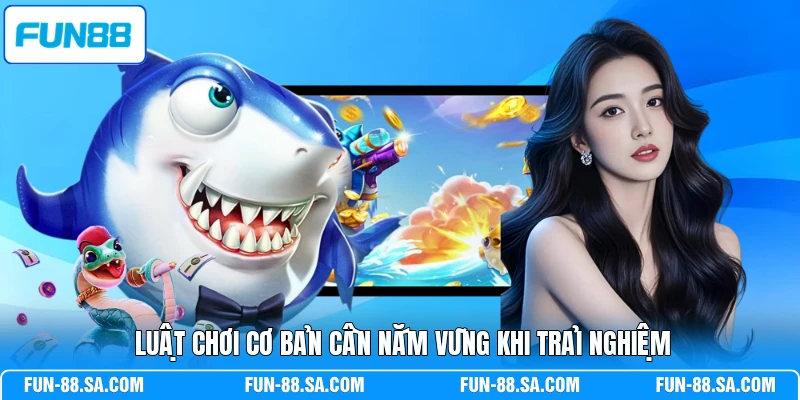 Luật chơi cơ bản cần nắm vũng khi trải nghiệm 